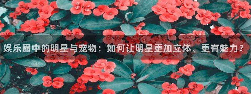 长征娱乐平台：娱乐圈中的明星与宠物：如何让明星更加立体、更有魅力？