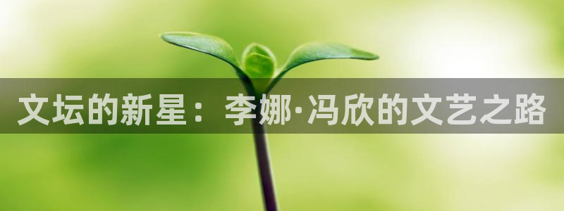 长征娱乐平台：文坛的新星：李娜·冯欣的文艺之路
