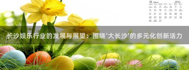 长征娱乐：长沙娱乐行业的发展与展望：围绕‘大长沙’的多元化创新活力