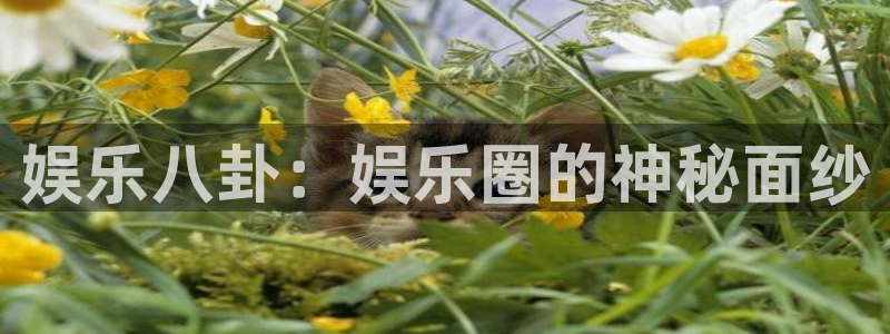 长征娱乐主管：娱乐八卦：娱乐圈的神秘面纱