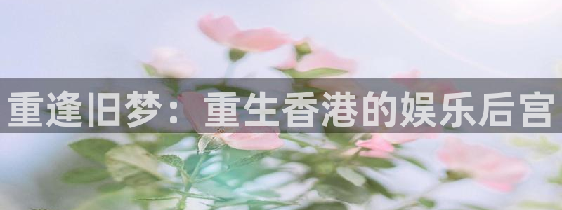 长征娱乐平台注册：重逢旧梦：重生香港的娱乐后宫