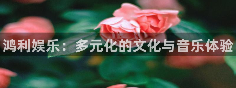 长征娱乐平台注册：鸿利娱乐：多元化的文化与音乐体验