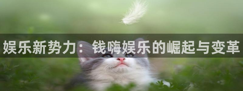 长征娱乐登录：娱乐新势力：钱嗨娱乐的崛起与变革